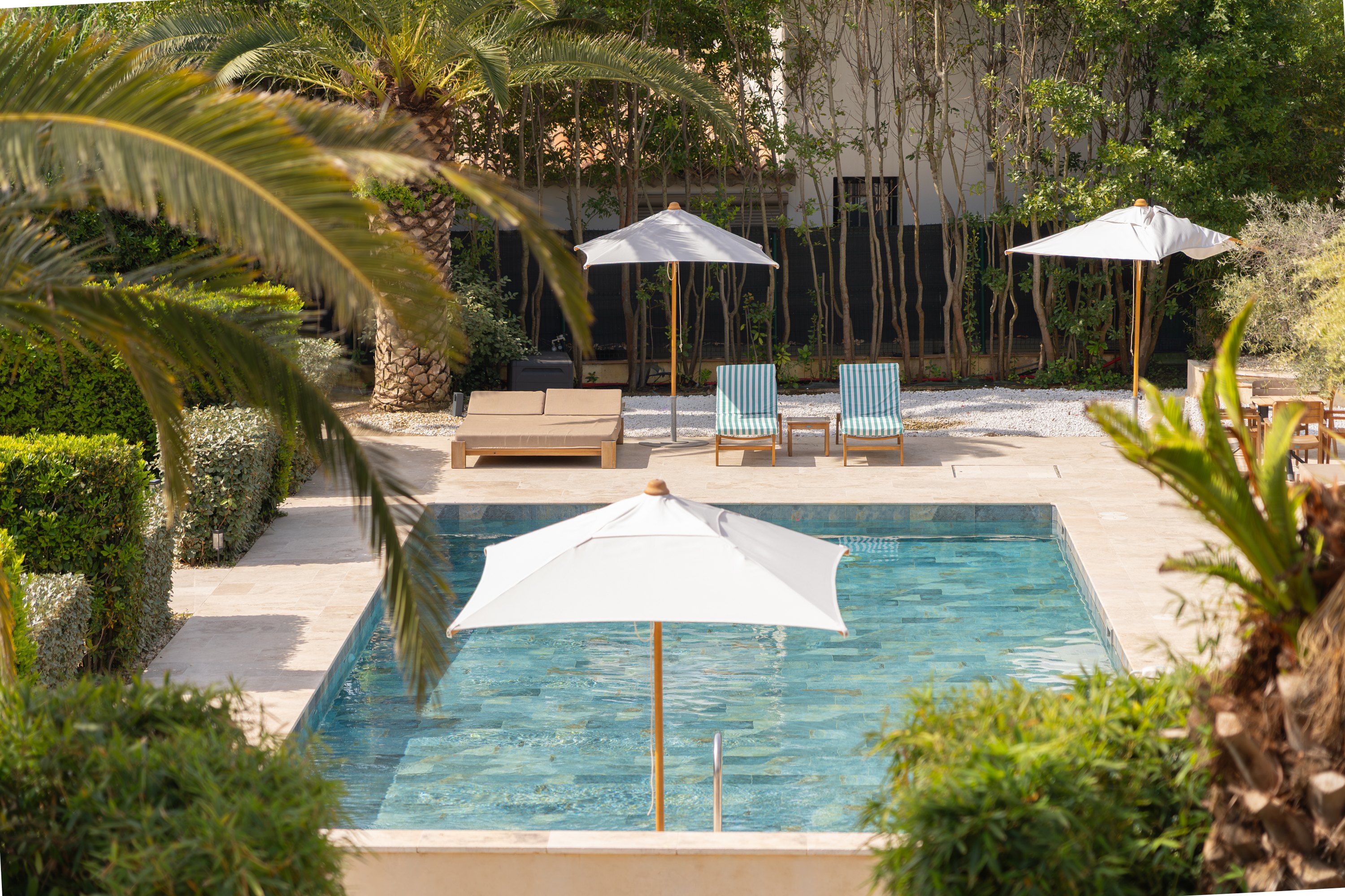Piscine et palmiers